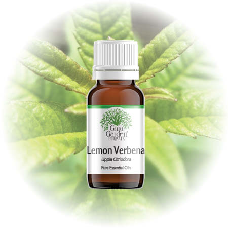 Lemon Verbena Essential Oil – Aliapure