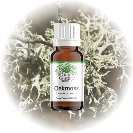 Thick Liquid Ambrosial Oakmoss Essential Oil Evernia prunastri Resonoid,  For Cosmetic, 1kg To 180kg at Rs 3500/kg in New Delhi